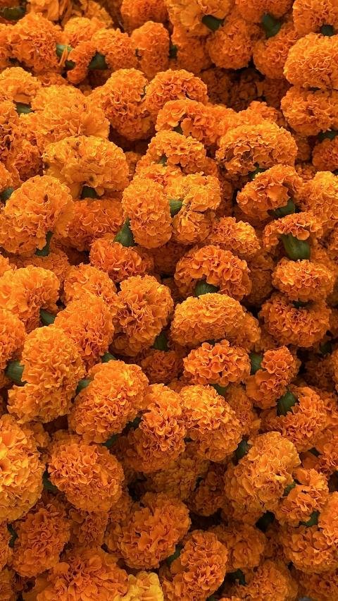 Floral & Event Decor