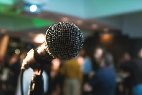 Professional microphone and sound system